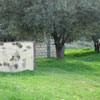 Natural Barriers